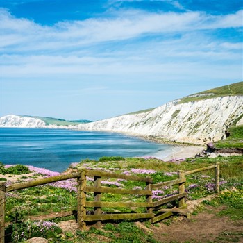 Island Treasures on the Isle of Wight 